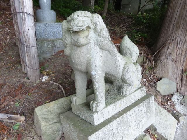 イメージ 12