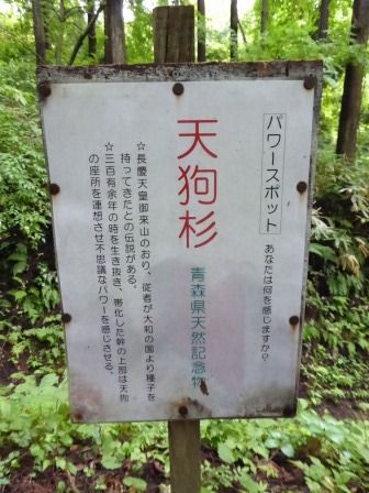 イメージ 39