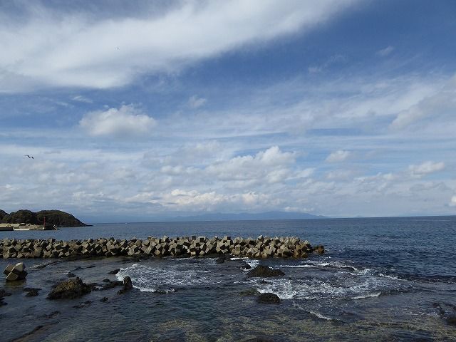 イメージ 15
