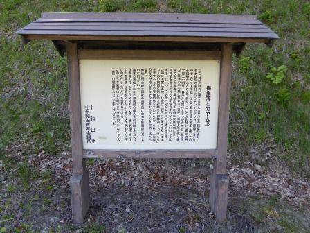 イメージ 4