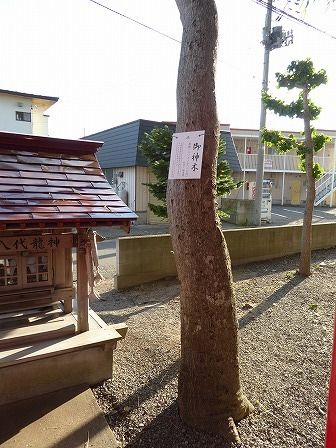 イメージ 19