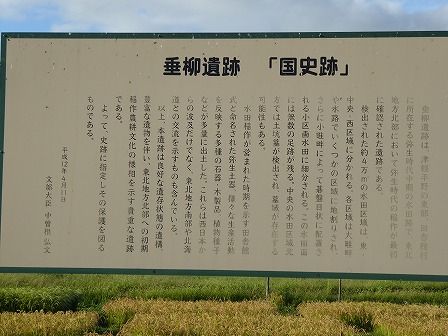 イメージ 34