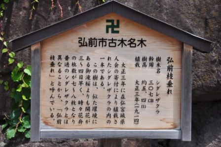 イメージ 14