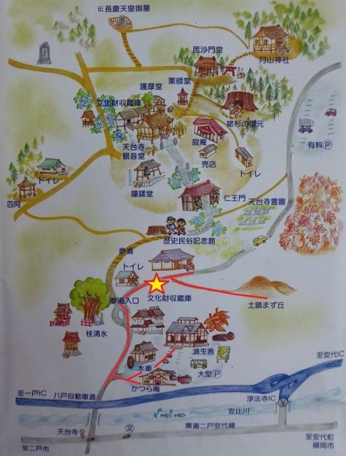 イメージ 9
