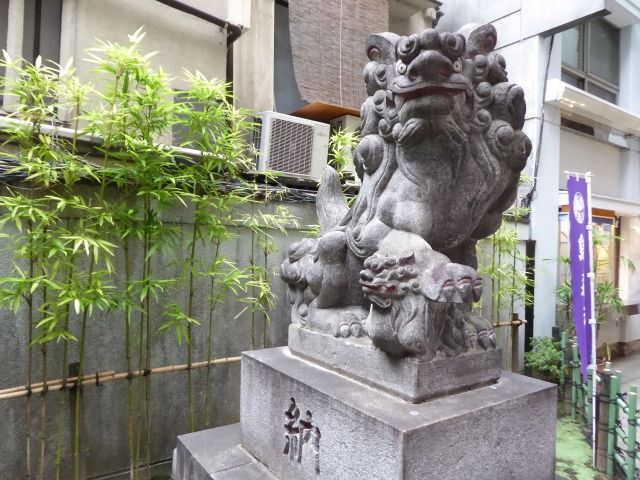 イメージ 7