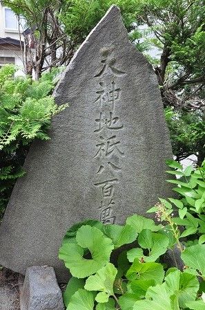 イメージ 6