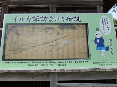 イメージ 14