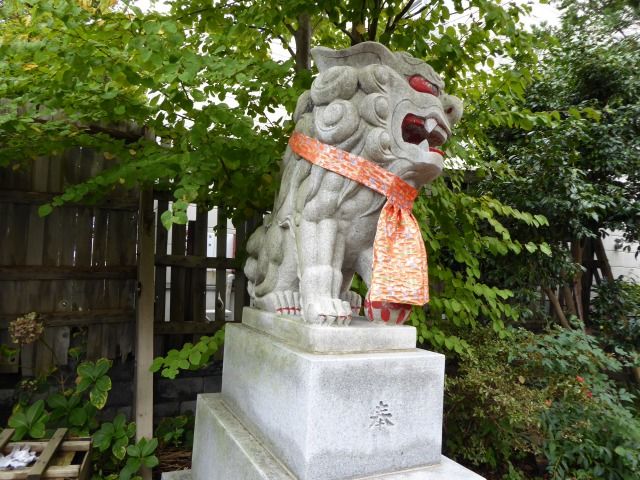 イメージ 31