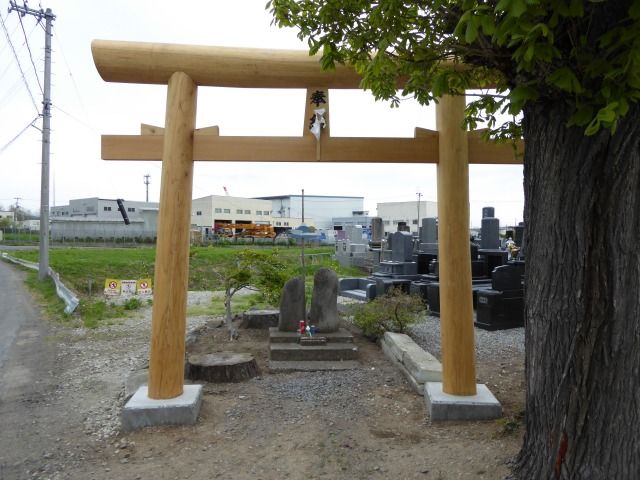 イメージ 11