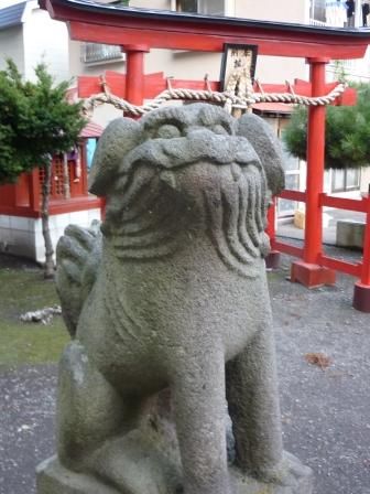 イメージ 15