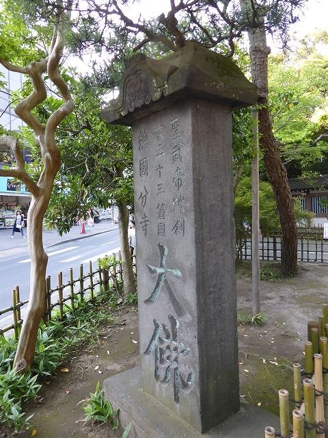 イメージ 6