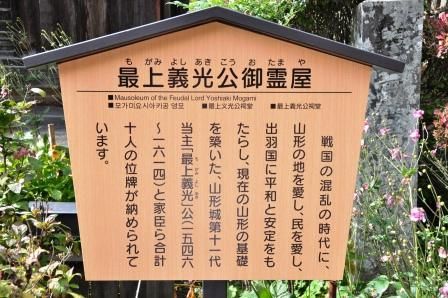 イメージ 48