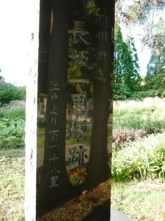 イメージ 7