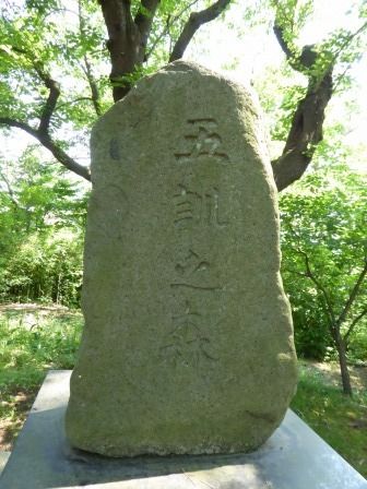 イメージ 18
