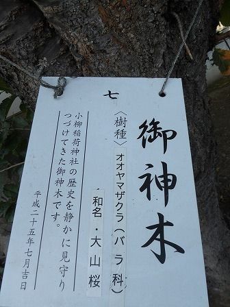 イメージ 8