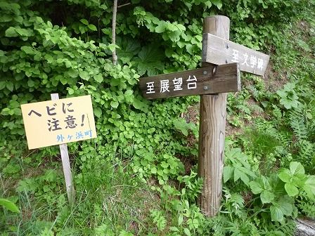 イメージ 29
