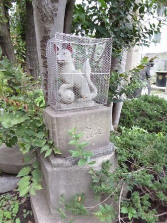 イメージ 19