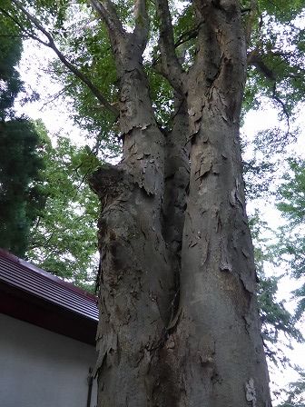 イメージ 21
