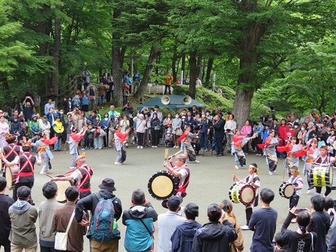 20.2