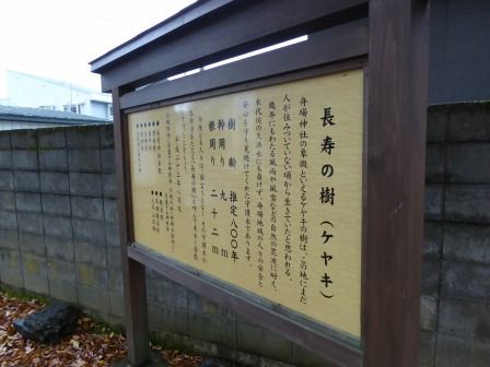 イメージ 18