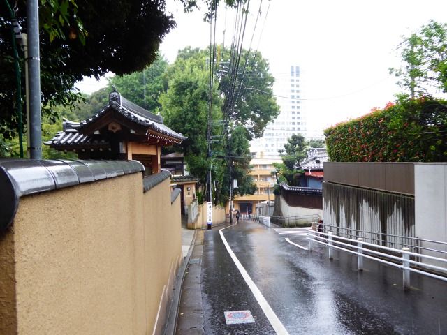 イメージ 16