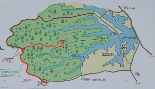イメージ 13