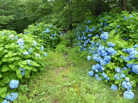 38.4