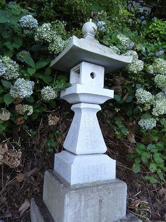 イメージ 15