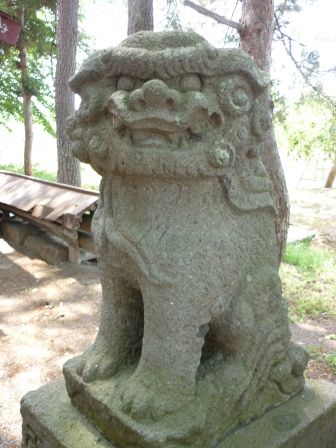イメージ 7