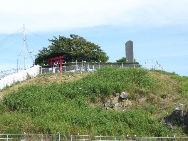 イメージ 14
