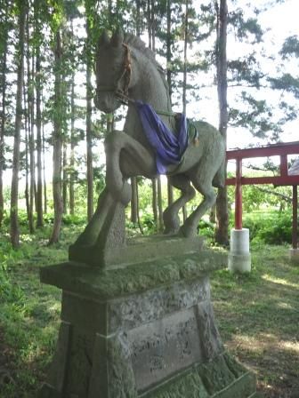 イメージ 7
