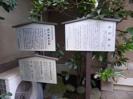 イメージ 6