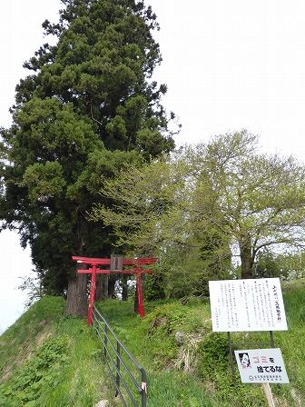 イメージ 1