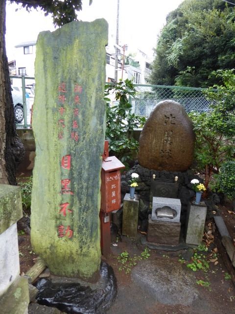 イメージ 44