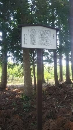 イメージ 9