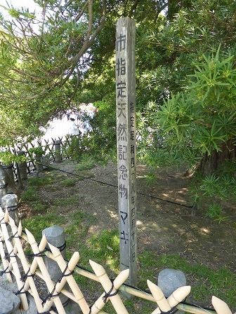 イメージ 8