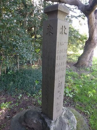 イメージ 43