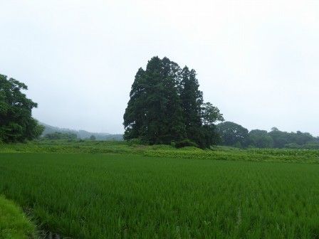 イメージ 4