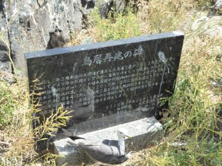 イメージ 23