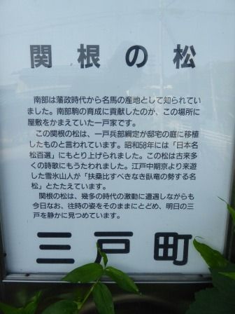 イメージ 16