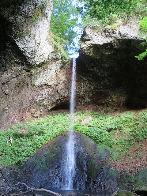 銚子の滝 （藤里町） : くぐる鳥居は鬼ばかり