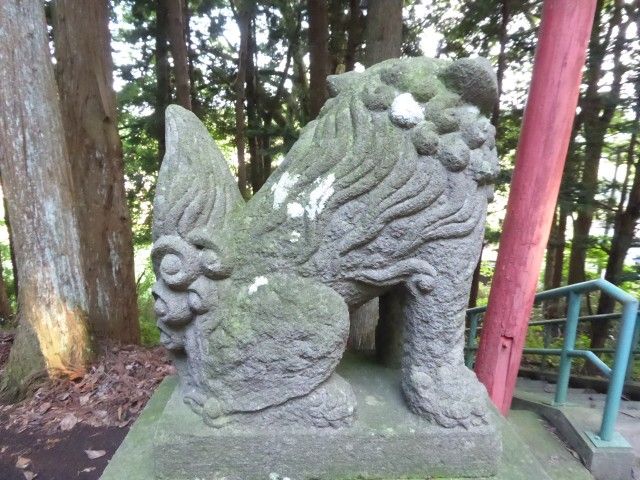 イメージ 9
