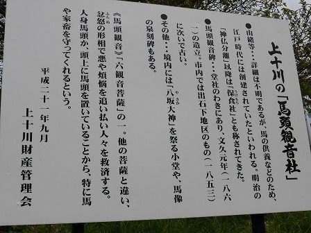 イメージ 21