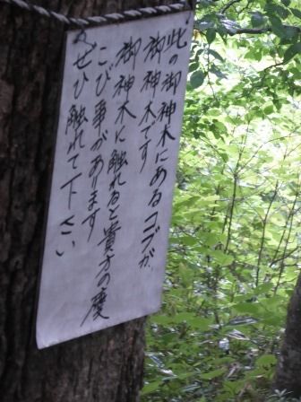 イメージ 34