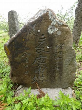イメージ 16