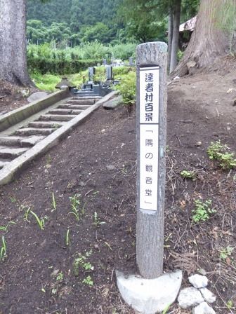イメージ 19