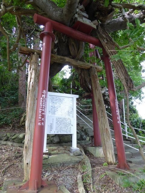 イメージ 20