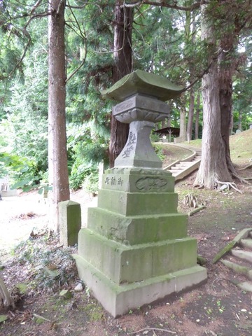 20