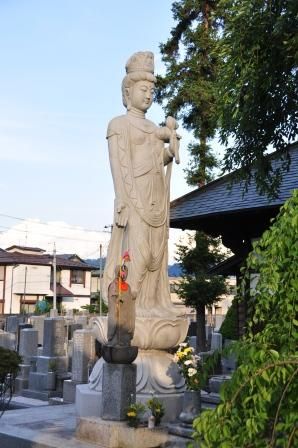 イメージ 5