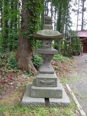 イメージ 17